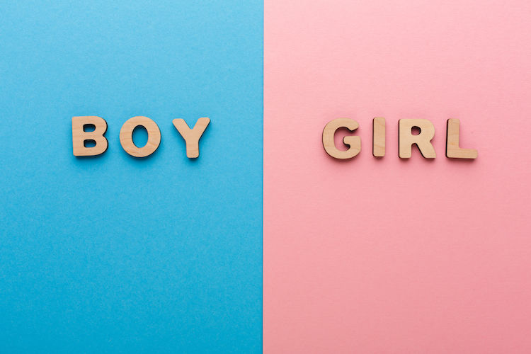 Gender Reveal